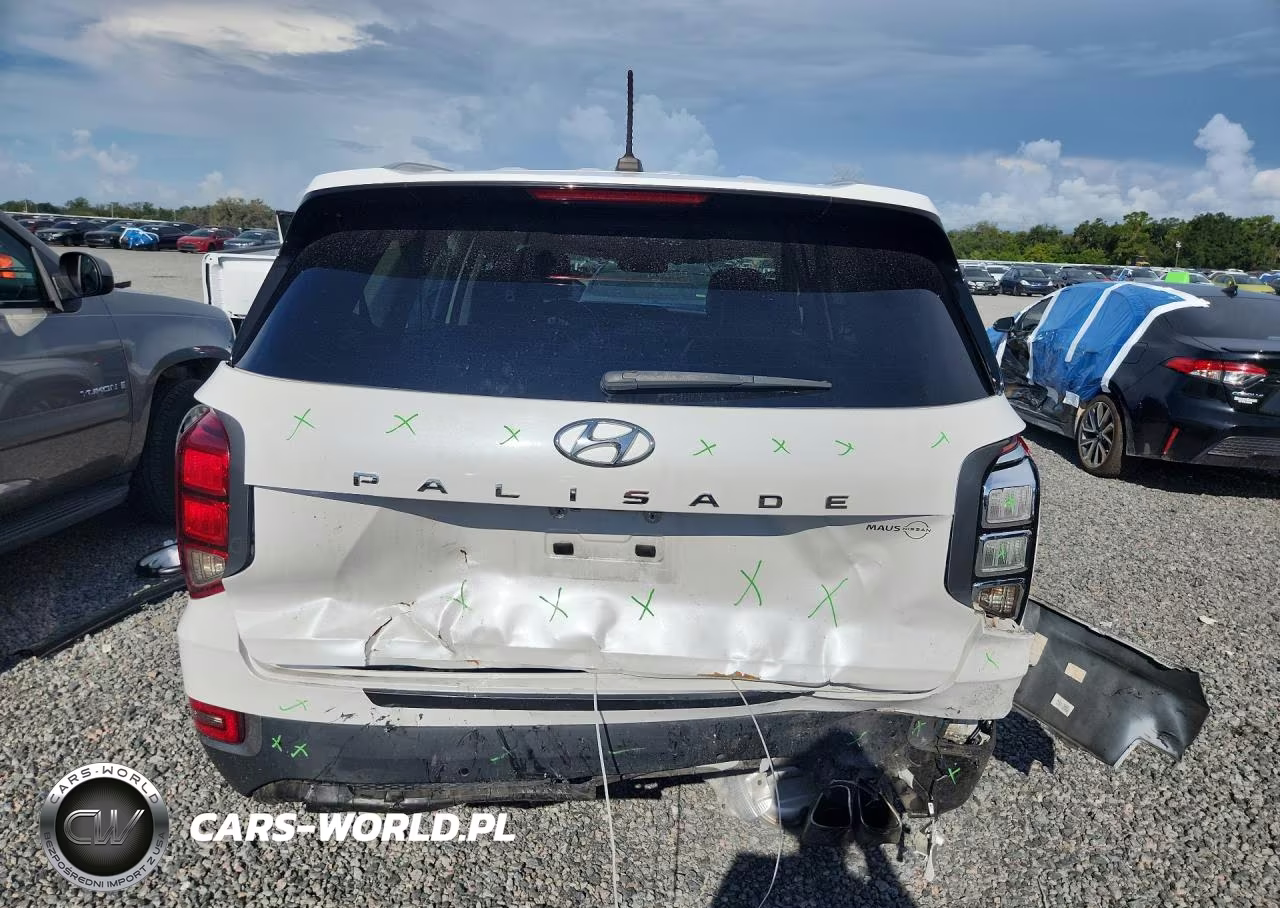 2021 Hyundai Palisade Sel VIN:KM8R24HE5MU188159 - 6