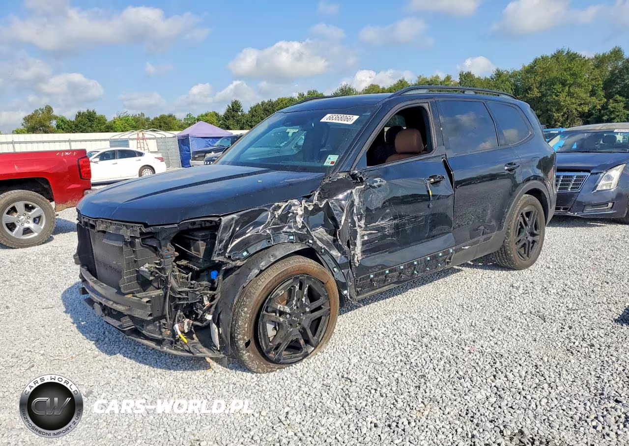 2024 Kia Telluride Ex X-Line VIN:5XYP3DGCXRG485087 - 1