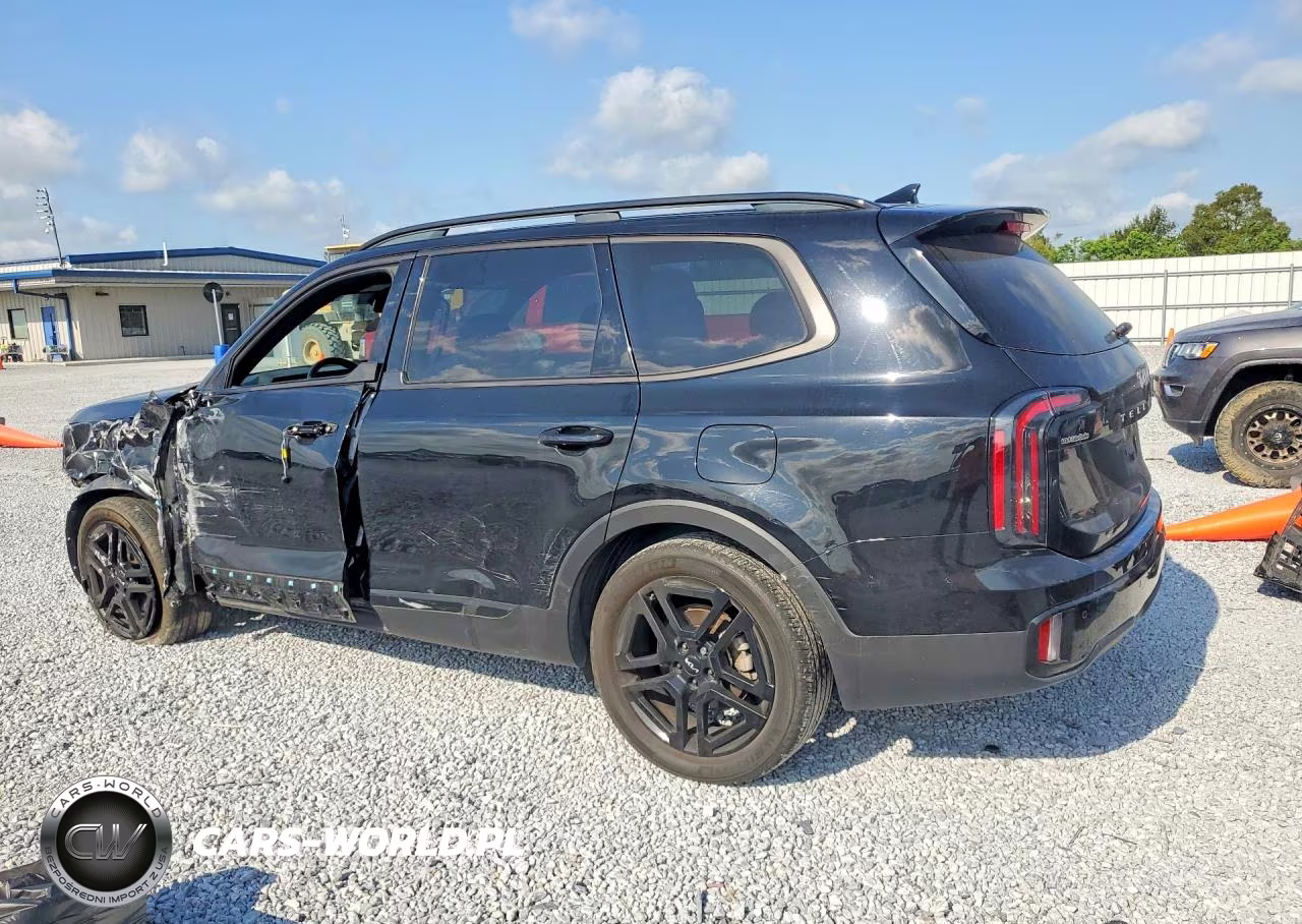 2024 Kia Telluride Ex X-Line VIN:5XYP3DGCXRG485087 - 2