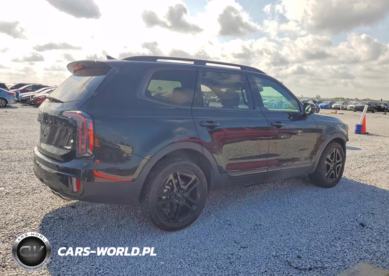 2024 Kia Telluride Ex X-Line VIN:5XYP3DGCXRG485087 - 3