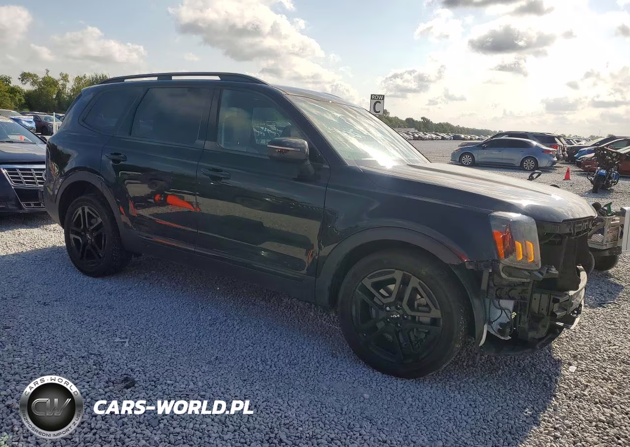 2024 Kia Telluride Ex X-Line VIN:5XYP3DGCXRG485087 - 4