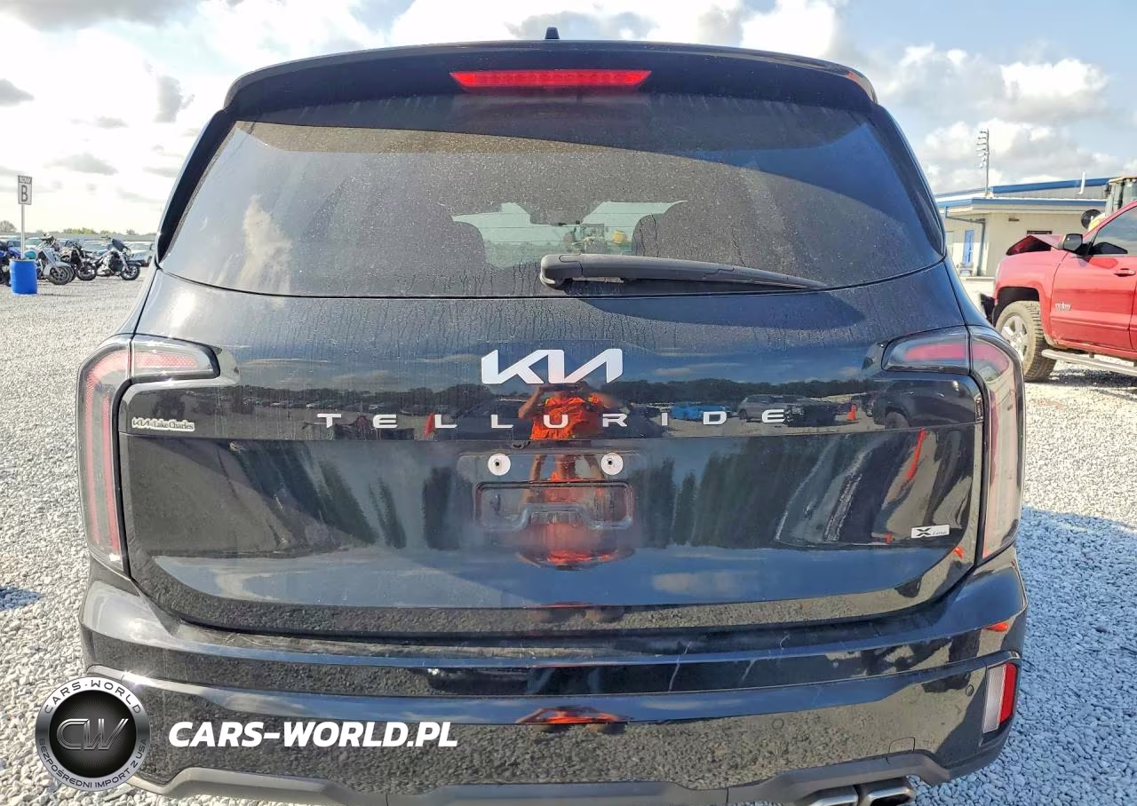 2024 Kia Telluride Ex X-Line VIN:5XYP3DGCXRG485087 - 6