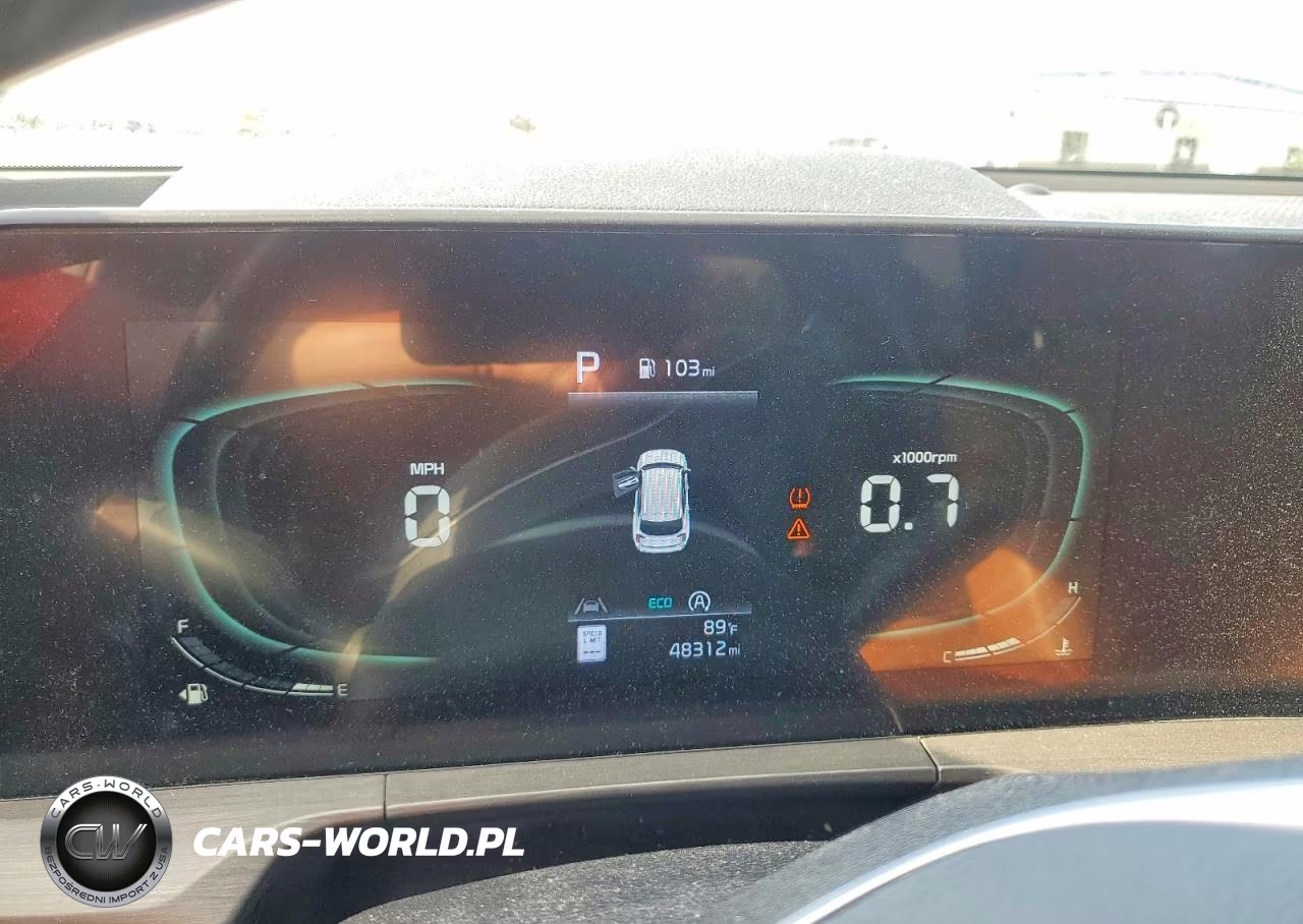 2024 Kia Telluride Ex X-Line VIN:5XYP3DGCXRG485087 - 9