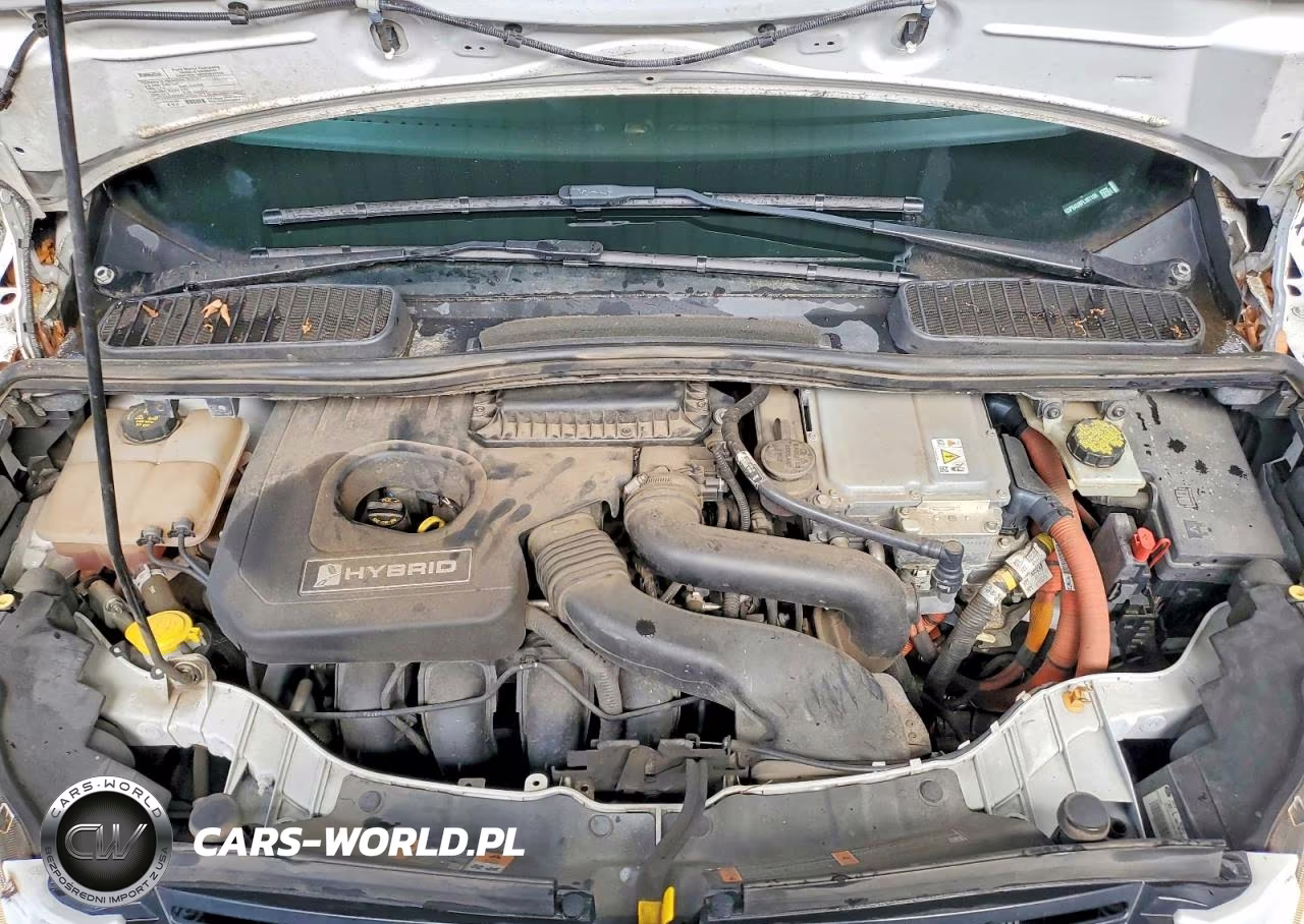 2015 Ford C-Max Se VIN:1FADP5AU8FL101196 - 12