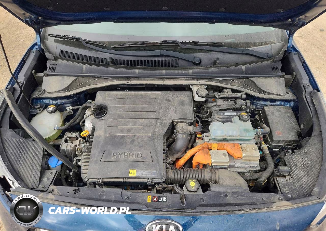 2019 Kia Niro Lx VIN:KNDCB3LC6K5328592 - 12