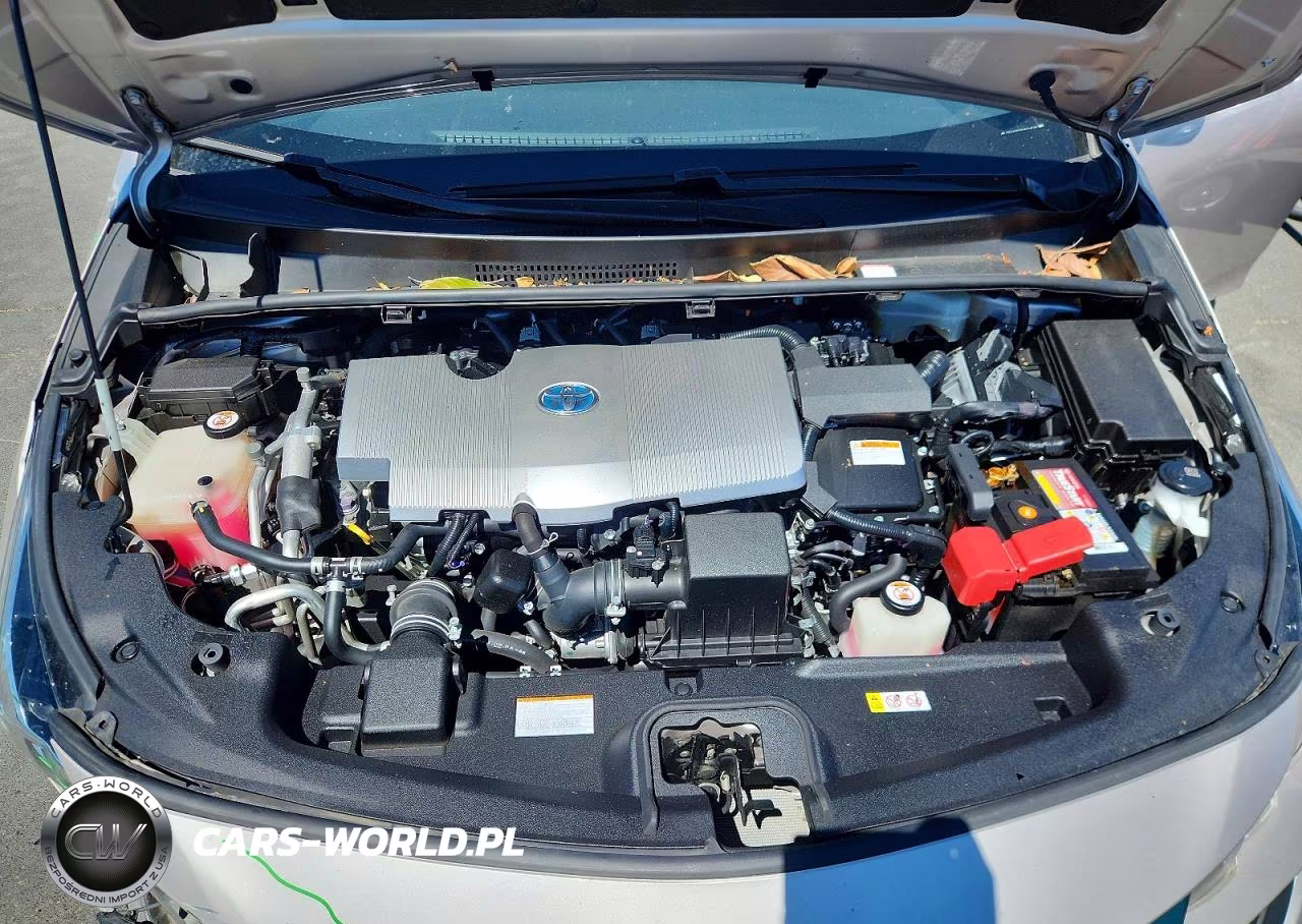 2019 Toyota Prius Prime Premium VIN:JTDKARFP7K3114545 - 11