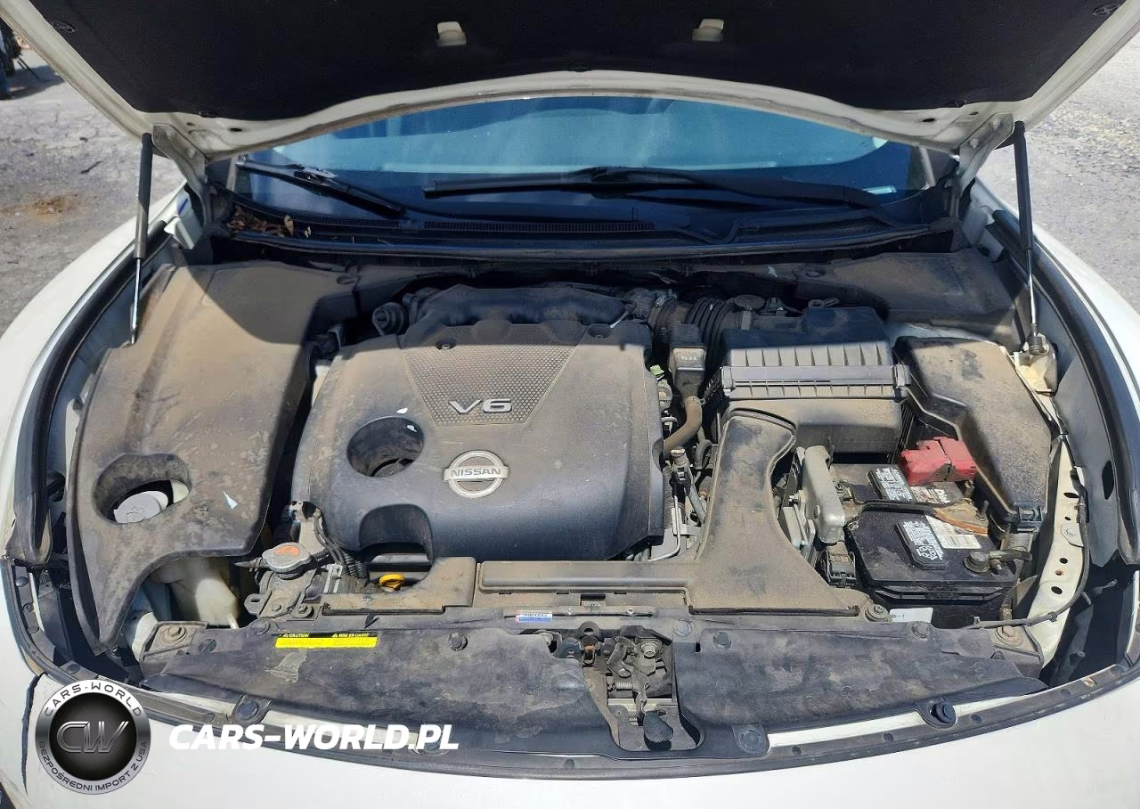 2014 Nissan Maxima 3.5 S VIN:1N4AA5AP4EC448196 - 11