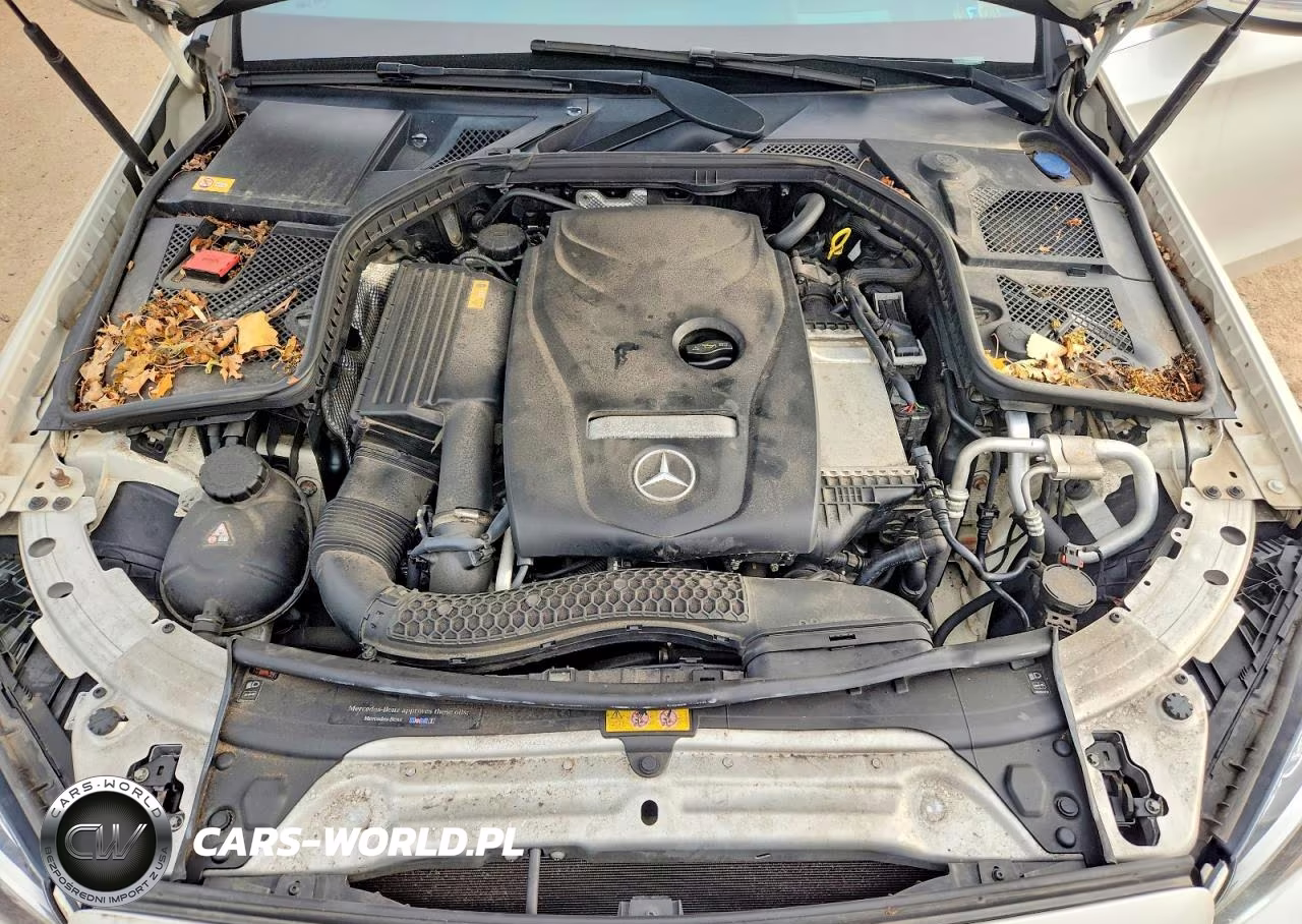 2015 Mercedes-Benz C 300 4Matic VIN:55SWF4KB0FU041591 - 11