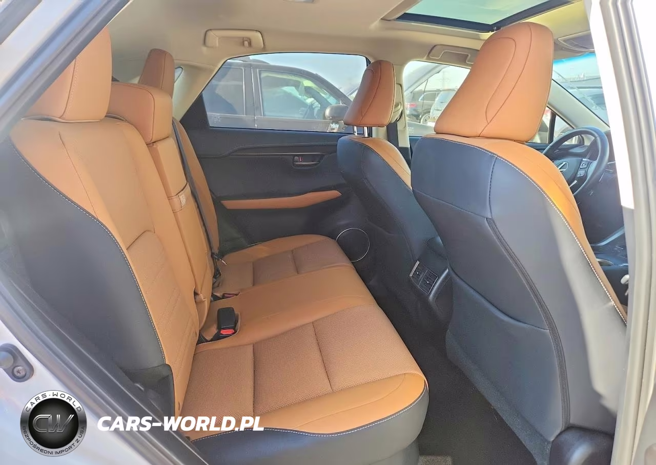 2019 Lexus Nx 300 Base VIN:JTJBARBZ8K2187207 - 10