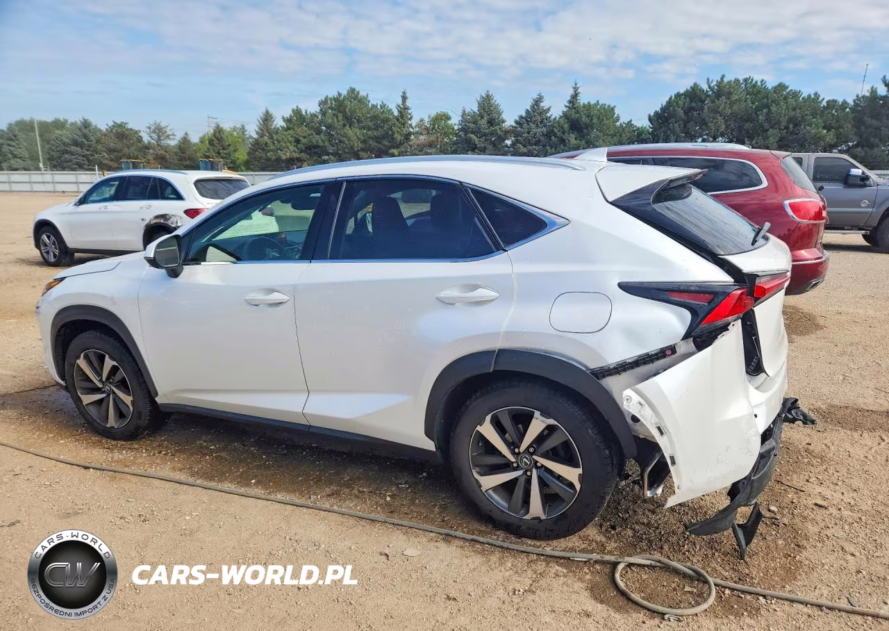 2019 Lexus Nx 300 Base VIN:JTJBARBZ8K2187207 - 2