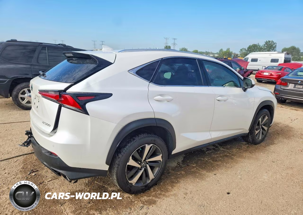 2019 Lexus Nx 300 Base VIN:JTJBARBZ8K2187207 - 3