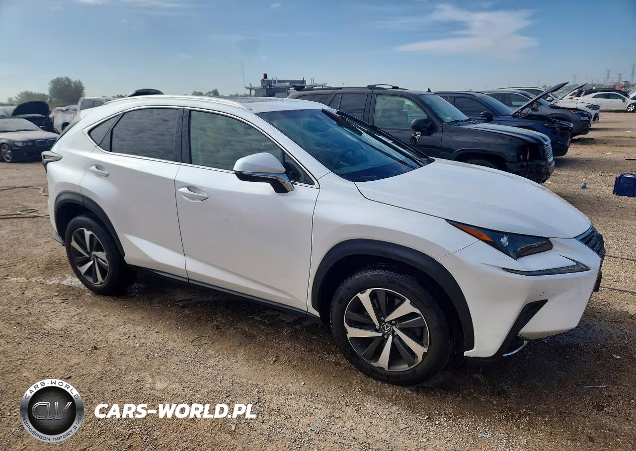 2019 Lexus Nx 300 Base VIN:JTJBARBZ8K2187207 - 4
