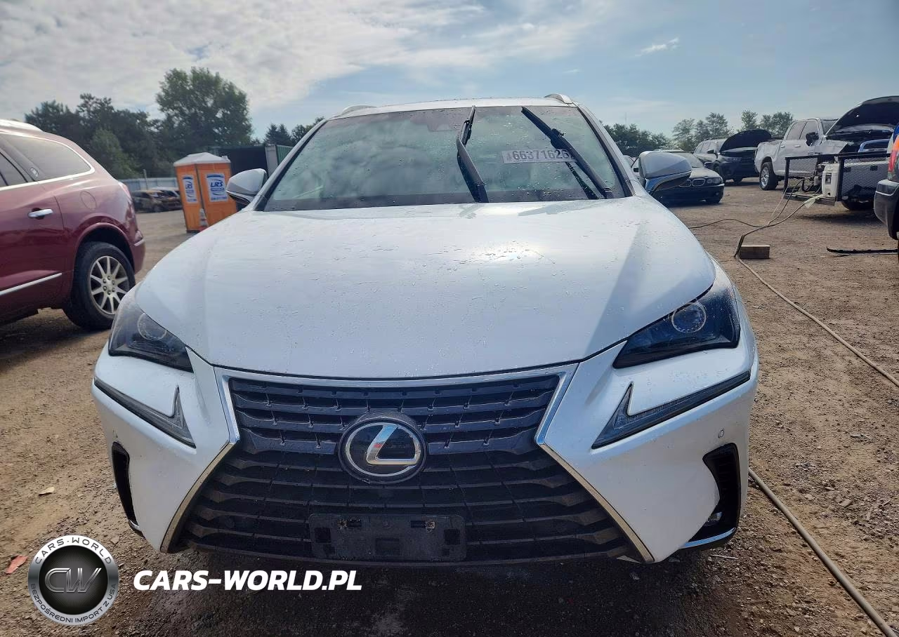 2019 Lexus Nx 300 Base VIN:JTJBARBZ8K2187207 - 5