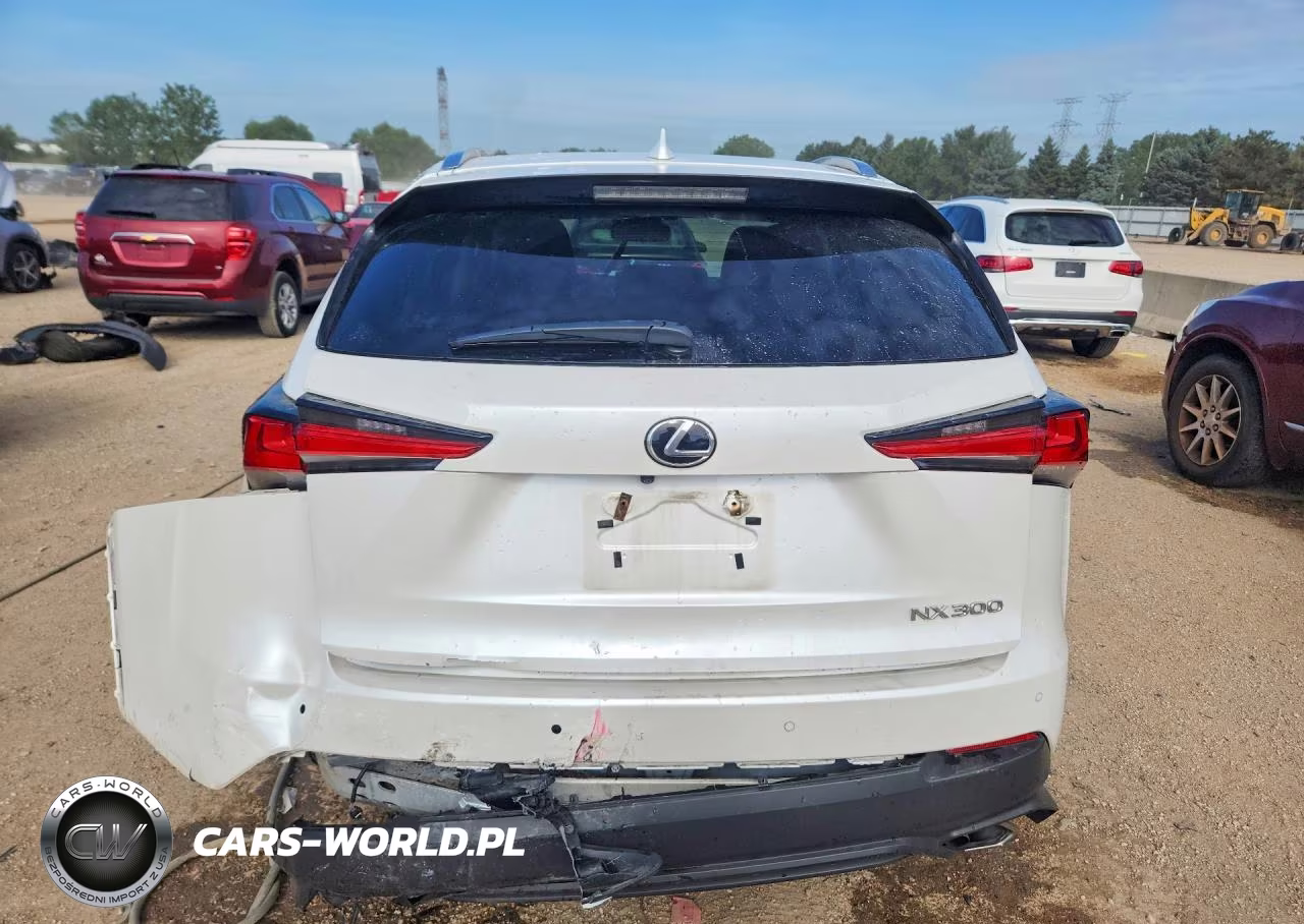2019 Lexus Nx 300 Base VIN:JTJBARBZ8K2187207 - 6