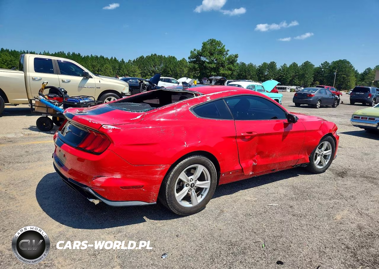 2022 Ford Mustang VIN:1FA6P8TH4N5114105 - 3