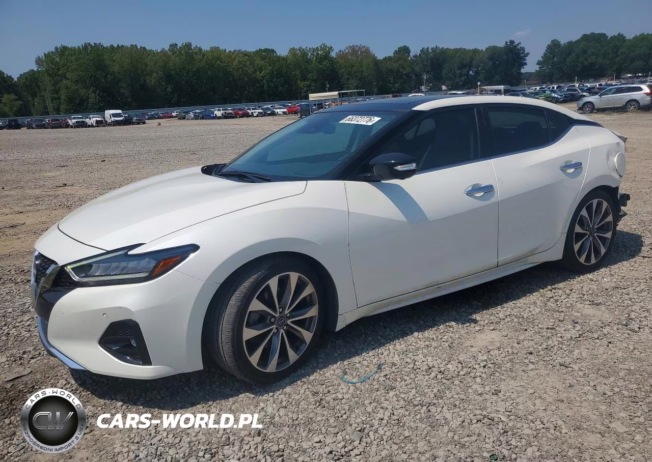 2023 Nissan Maxima Platinum VIN:1N4AA6FV4PC501401 - 1