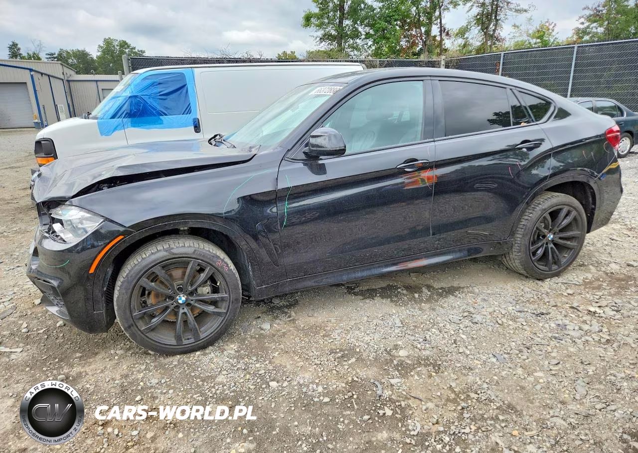 2019 BMW X6 Sdrive35I VIN:5UXKU0C57K0G92945 - 1