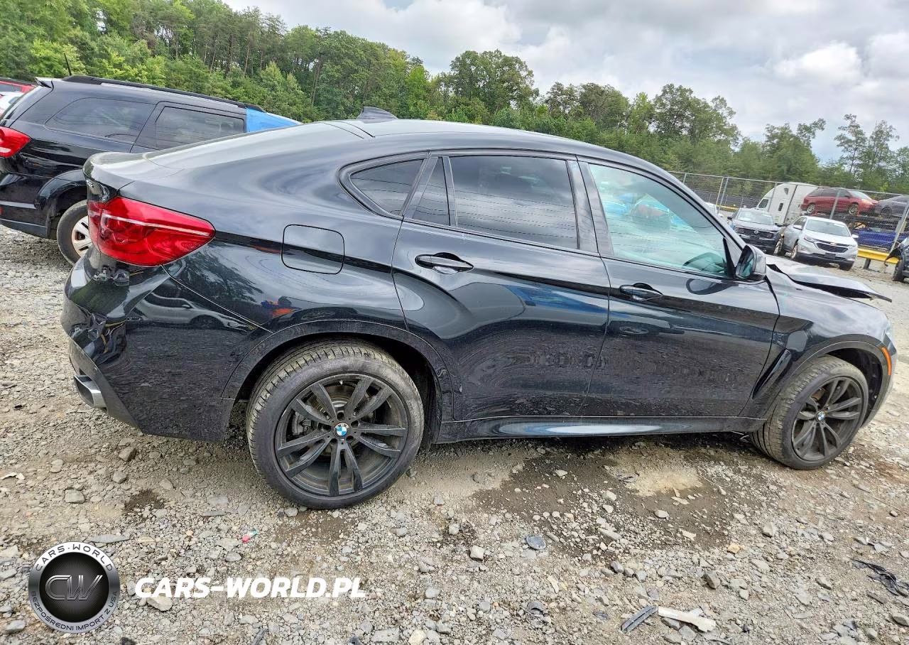2019 BMW X6 Sdrive35I VIN:5UXKU0C57K0G92945 - 3