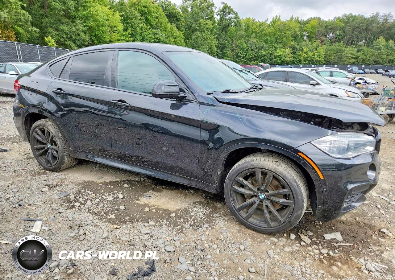 2019 BMW X6 Sdrive35I VIN:5UXKU0C57K0G92945 - 4