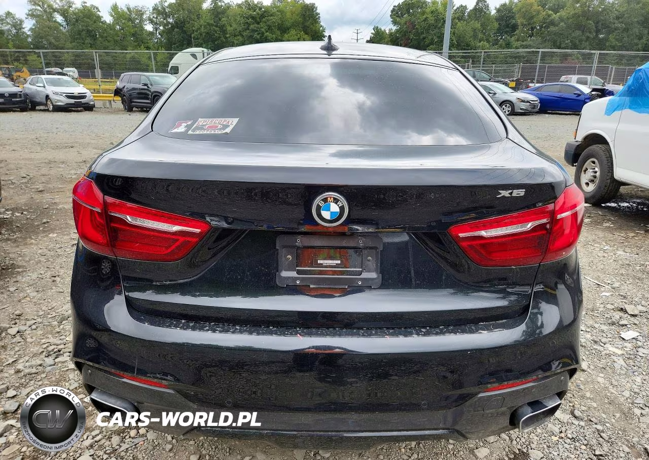 2019 BMW X6 Sdrive35I VIN:5UXKU0C57K0G92945 - 6