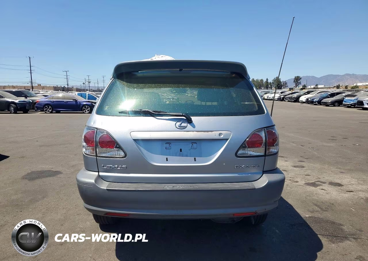 2003 Lexus Rx 300 VIN:JTJGF10U230150585 - 6