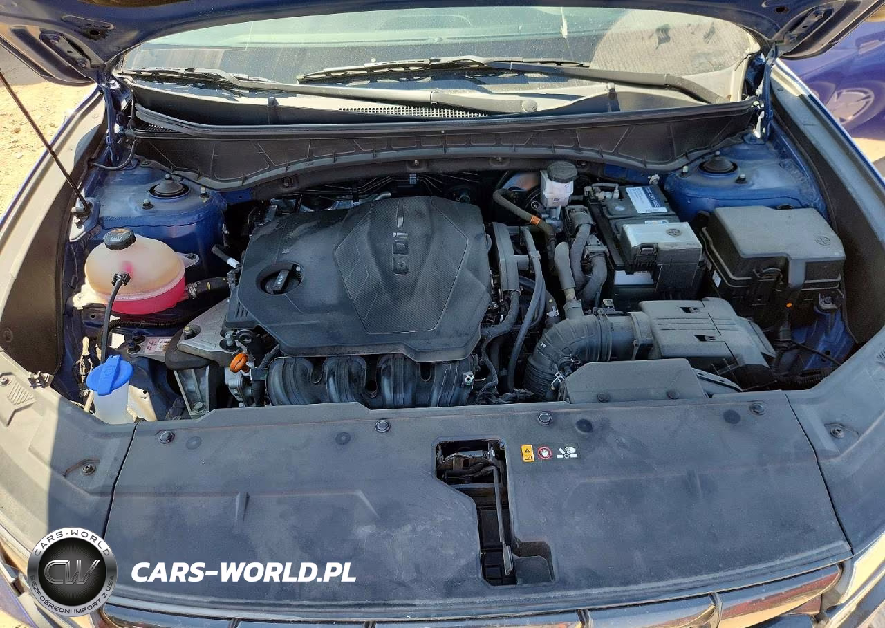 2023 Hyundai Tucson Se VIN:5NMJA3AE5PH229233 - 12