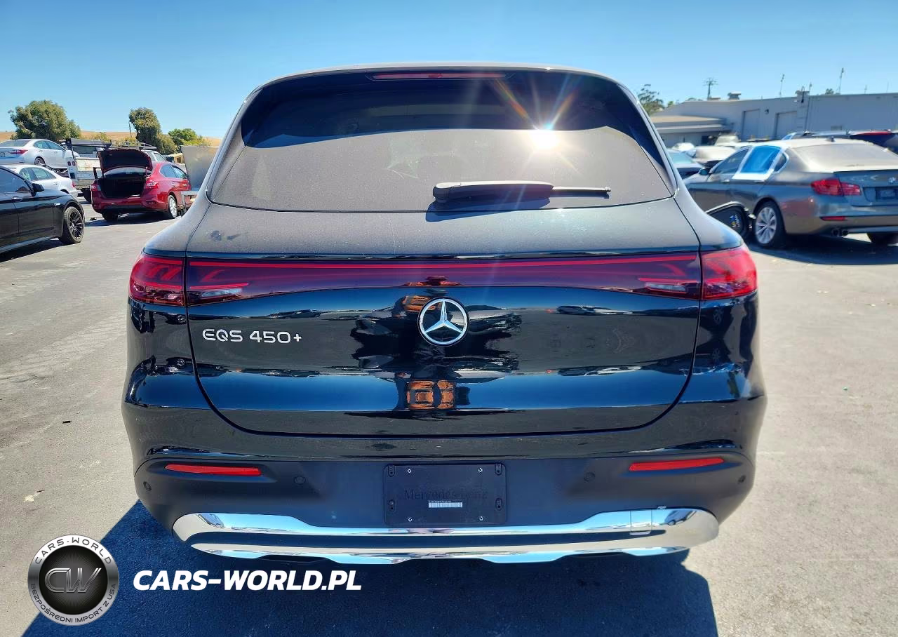 2024 Mercedes-Benz Eqs Suv 450+ VIN:4JGDM2DB9RA032798 - 6