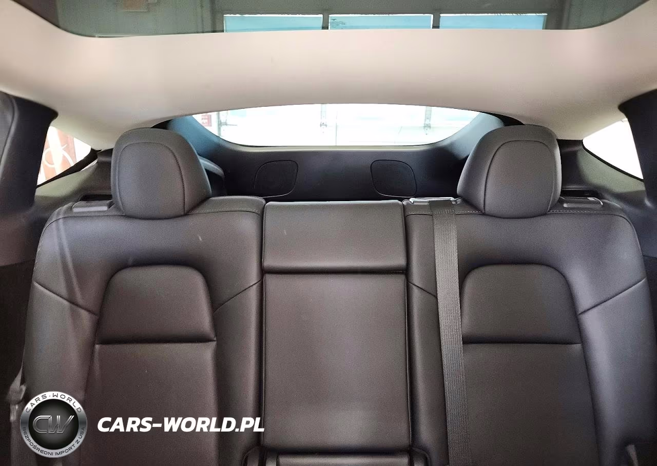 2023 Tesla Model Y VIN:7SAYGDEE7PF606971 - 10