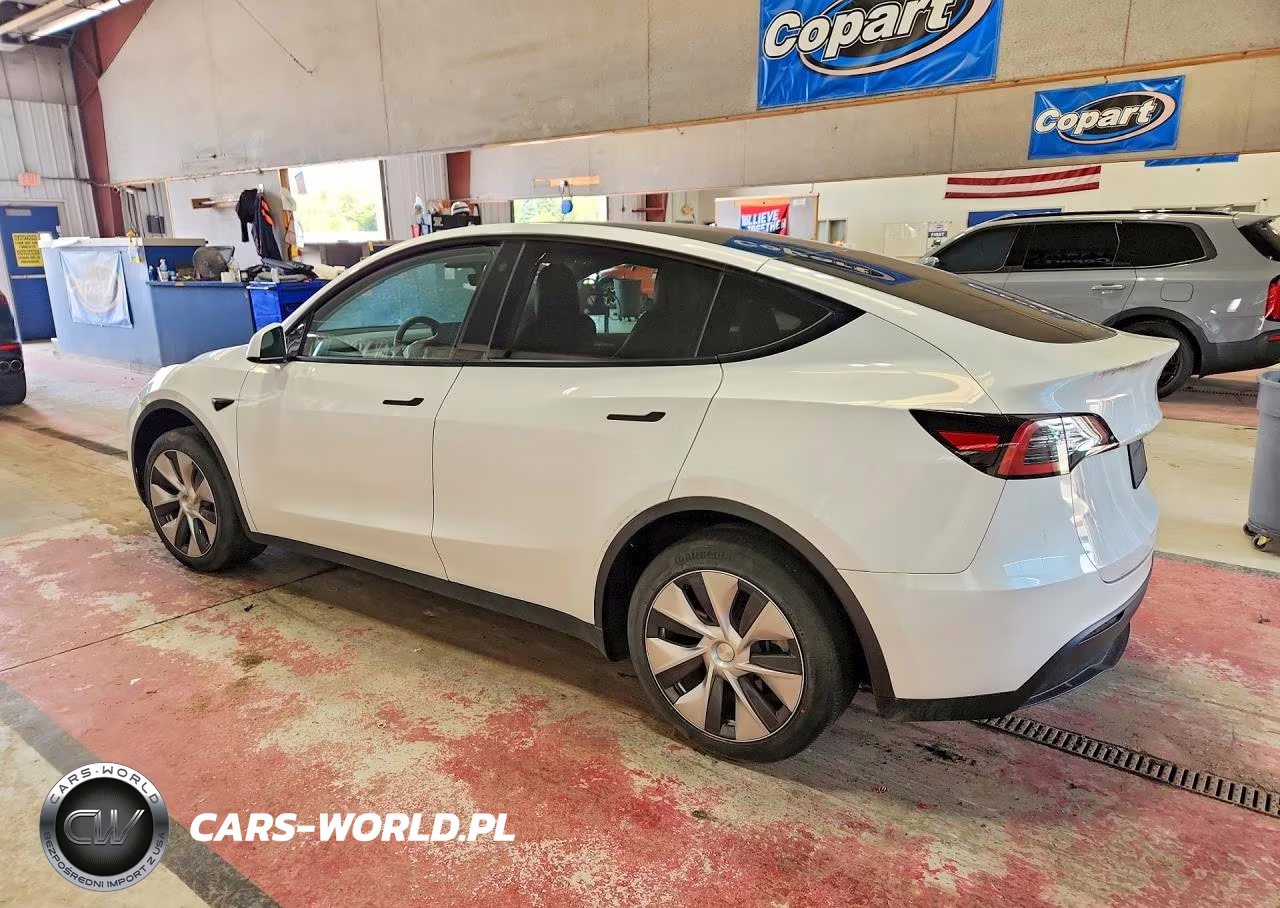 2023 Tesla Model Y VIN:7SAYGDEE7PF606971 - 2