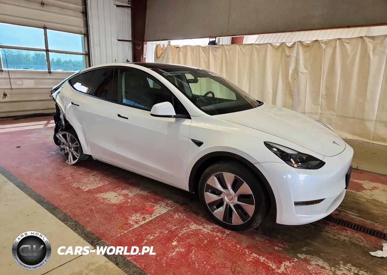 2023 Tesla Model Y VIN:7SAYGDEE7PF606971 - 4
