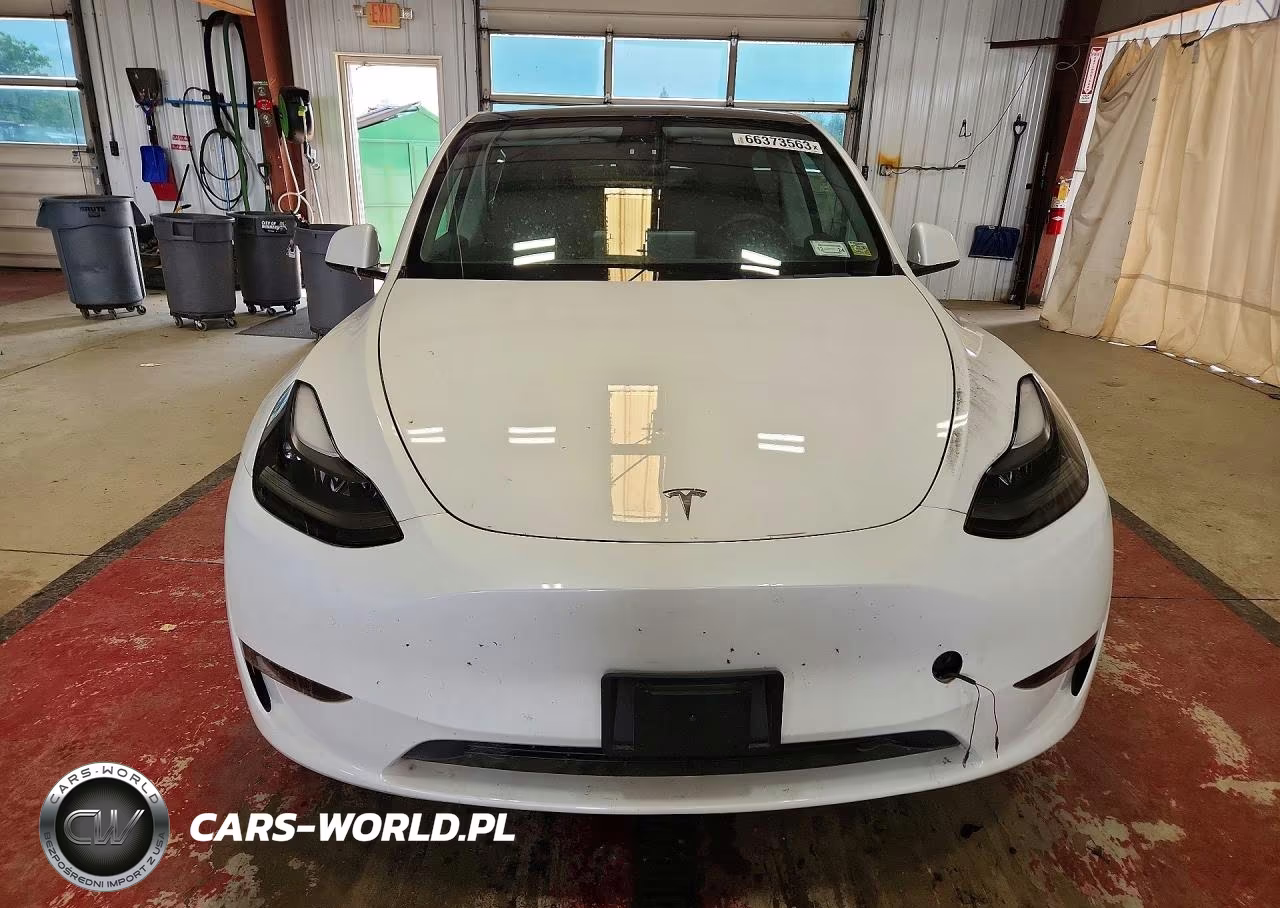2023 Tesla Model Y VIN:7SAYGDEE7PF606971 - 5