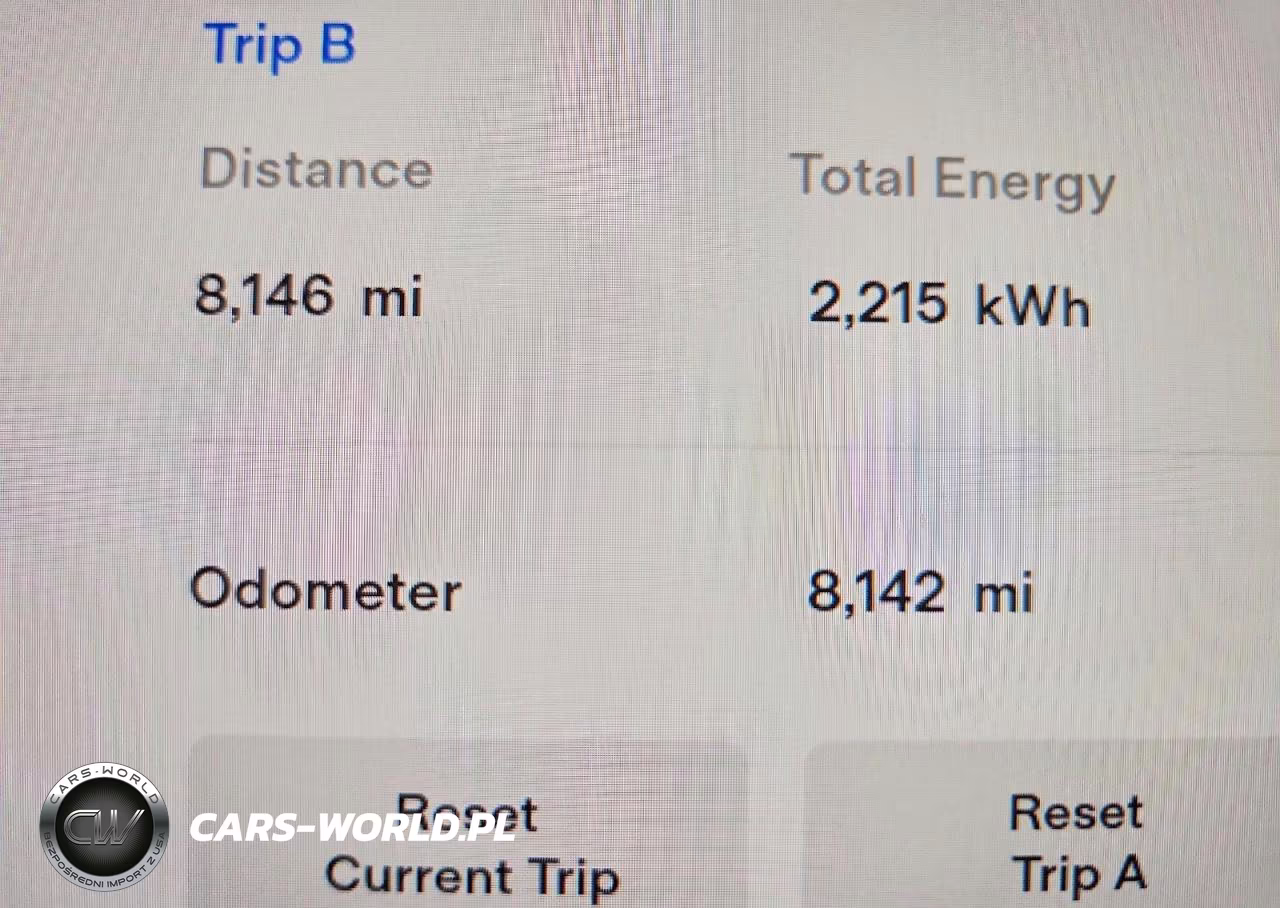 2023 Tesla Model Y VIN:7SAYGDEE7PF606971 - 9