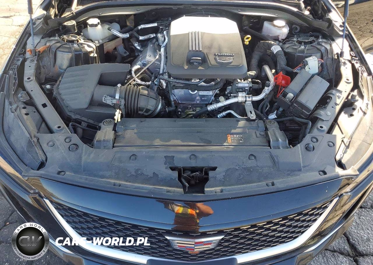 2024 Cadillac Ct5 Luxury VIN:1G6DW5RKXR0103623 - 11