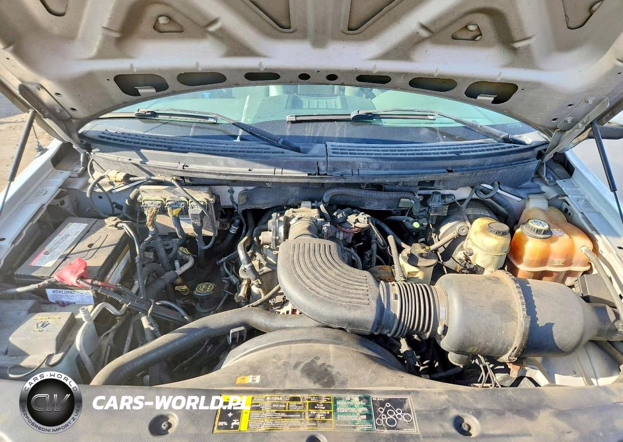 2004 Ford F150 VIN:1FTRX12WX4NB97195 - 11