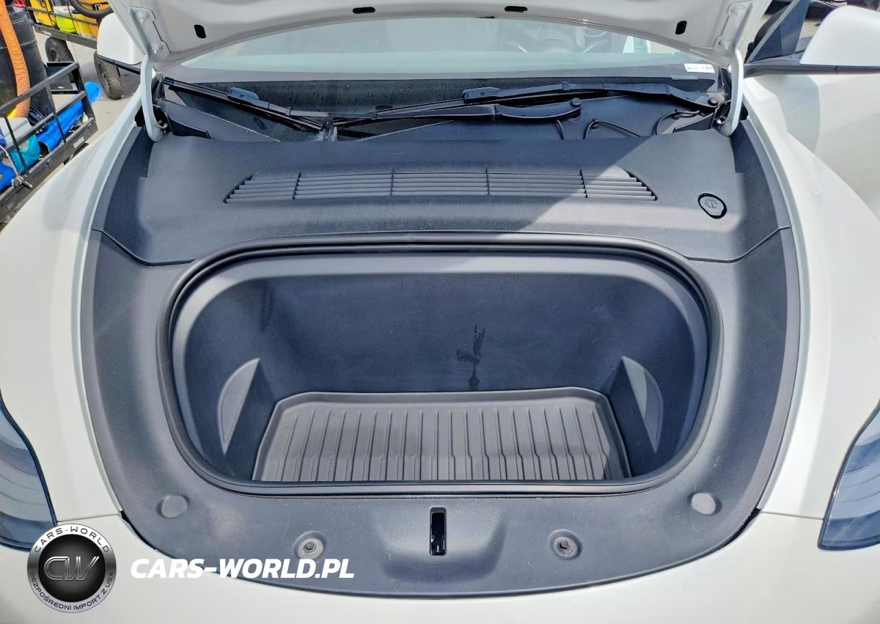 2023 Tesla Model Y VIN:7SAYGAEE1PF780520 - 11