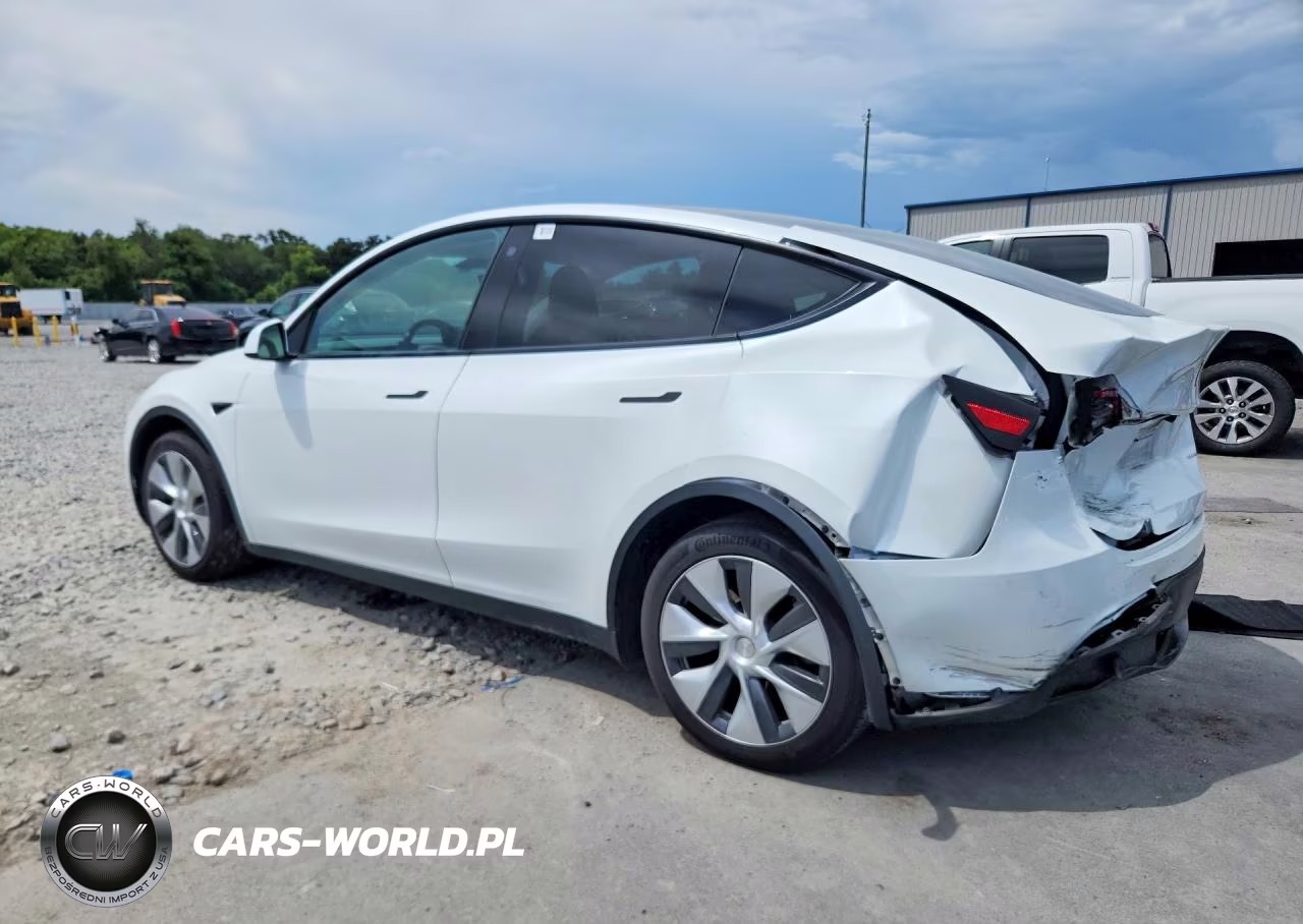 2023 Tesla Model Y VIN:7SAYGAEE1PF780520 - 2