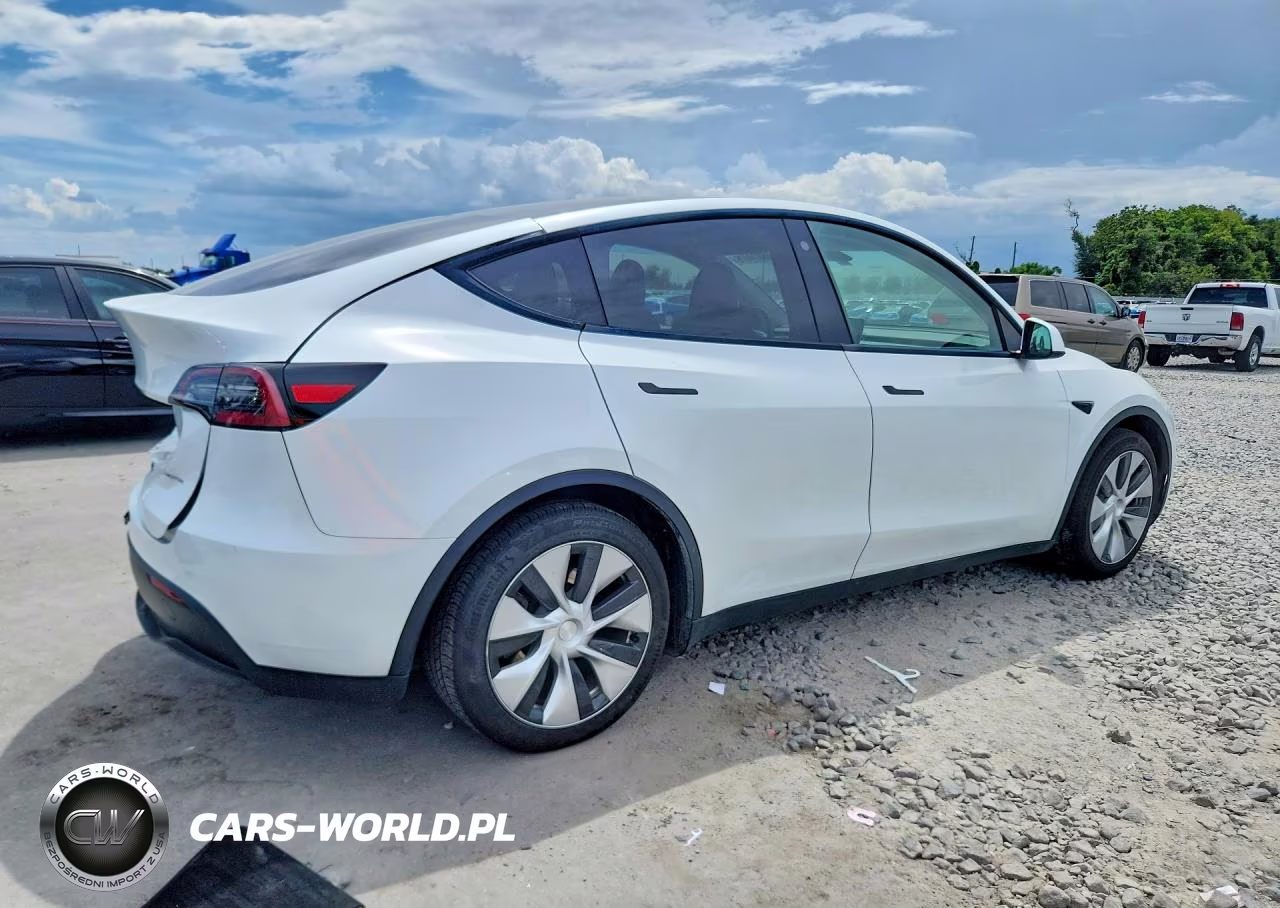 2023 Tesla Model Y VIN:7SAYGAEE1PF780520 - 3