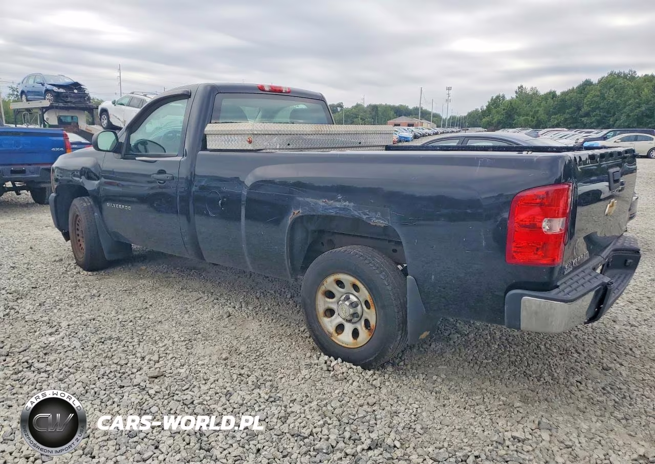 2013 Chevrolet Silverado C1500 VIN:1GCNCPEX9DZ325954 - 2