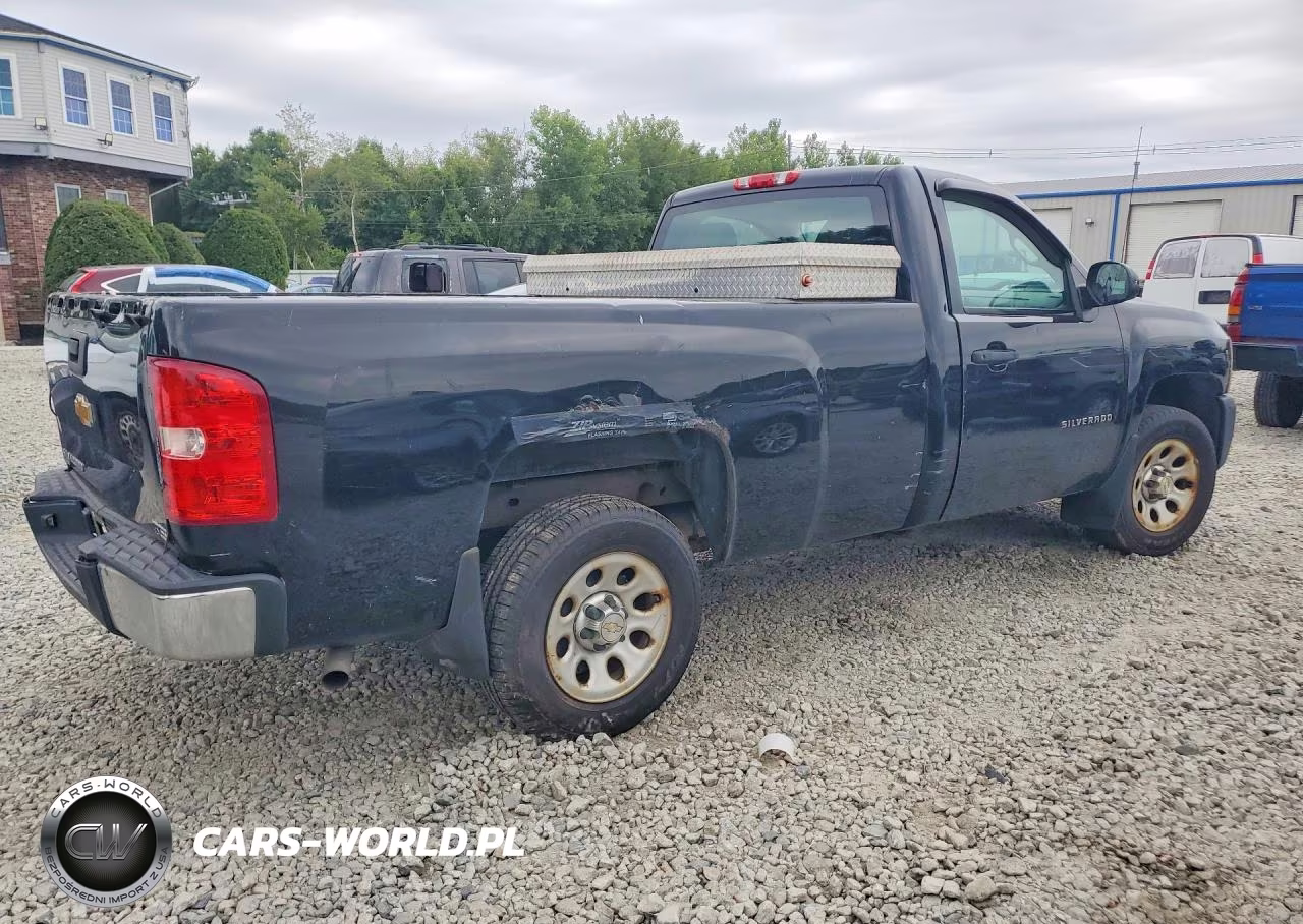 2013 Chevrolet Silverado C1500 VIN:1GCNCPEX9DZ325954 - 3