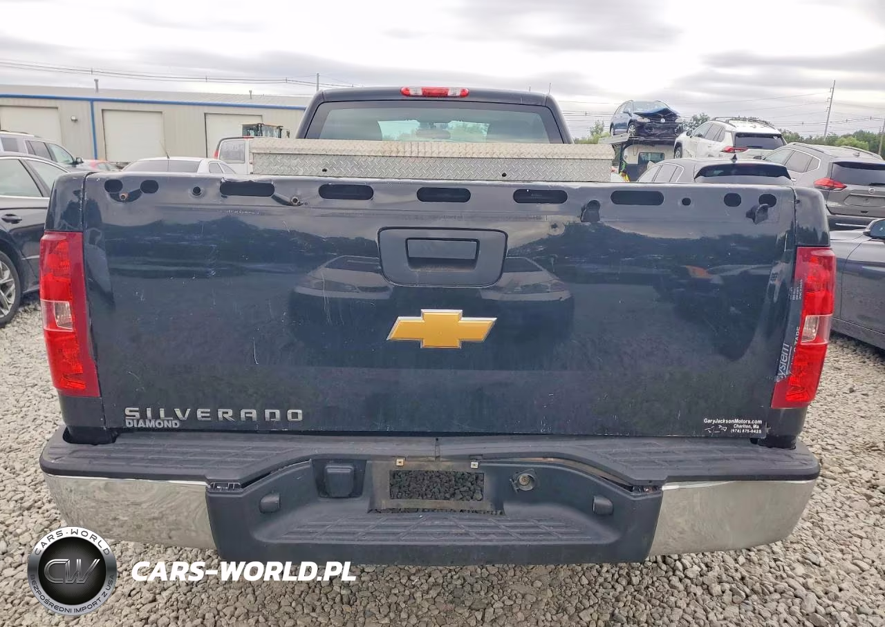 2013 Chevrolet Silverado C1500 VIN:1GCNCPEX9DZ325954 - 6