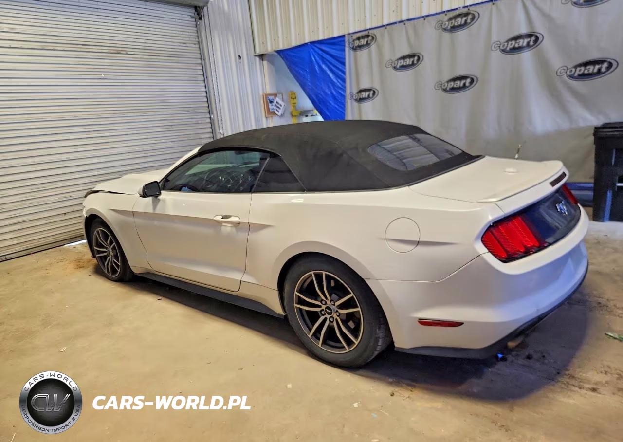 2017 Ford Mustang VIN:1FATP8UH6H5205172 - 2