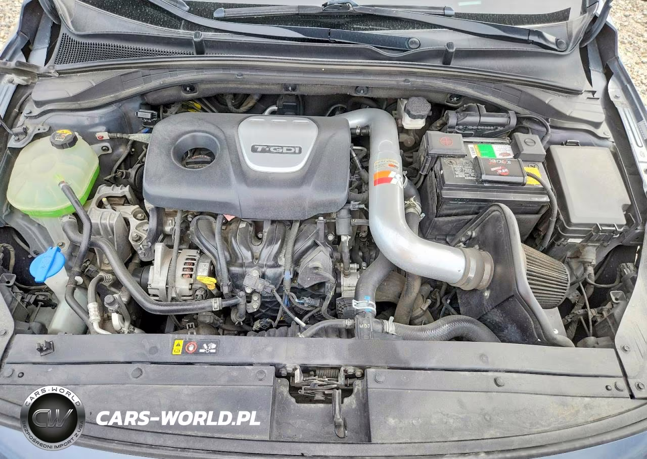 2018 Hyundai Elantra Gt Sport VIN:KMHH55LC1JU009657 - 11