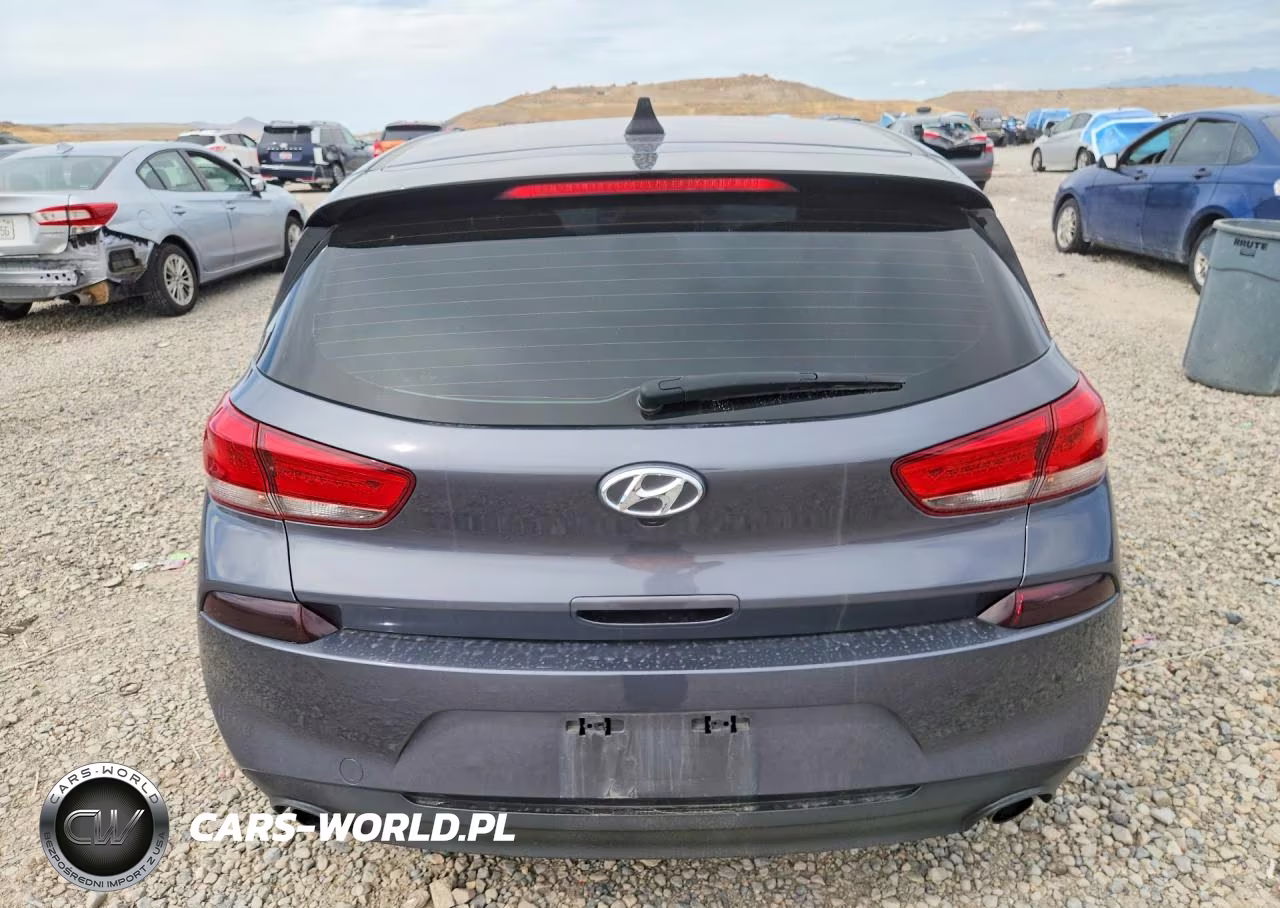 2018 Hyundai Elantra Gt Sport VIN:KMHH55LC1JU009657 - 6