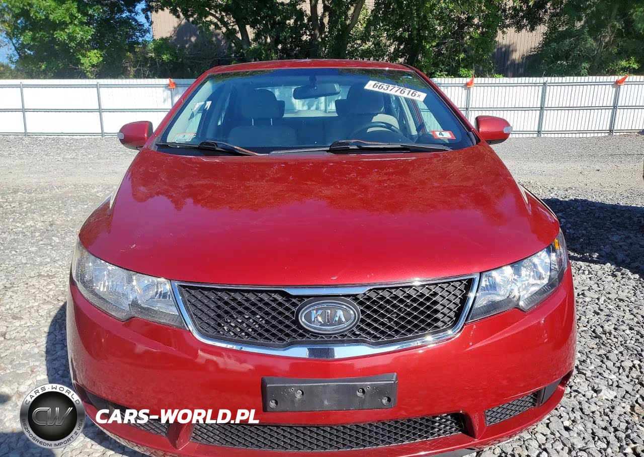 2010 Kia Forte Ex VIN:KNAFU4A28A5298384 - 5