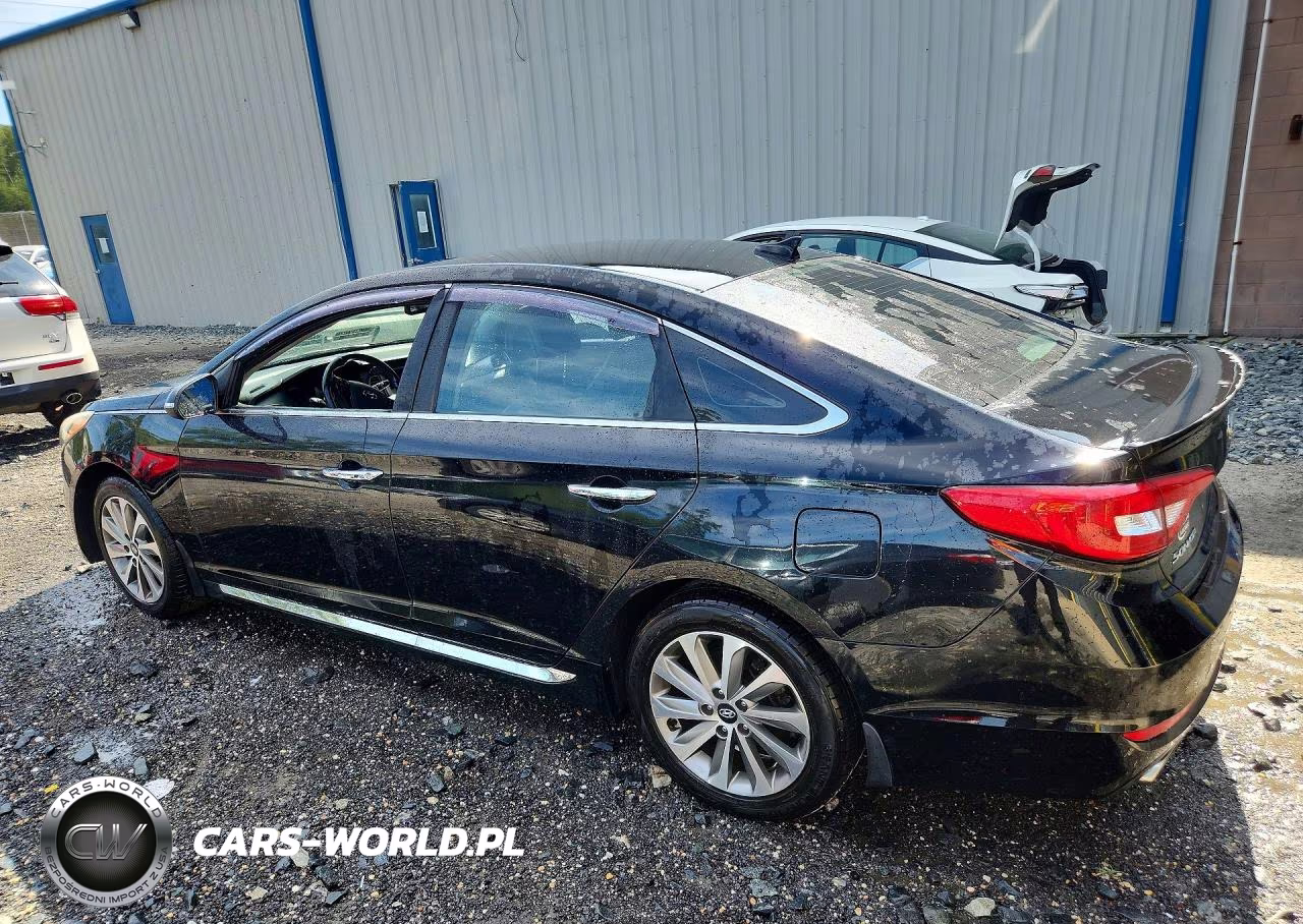 2016 Hyundai Sonata Sport VIN:5NPE34AF0GH280765 - 2
