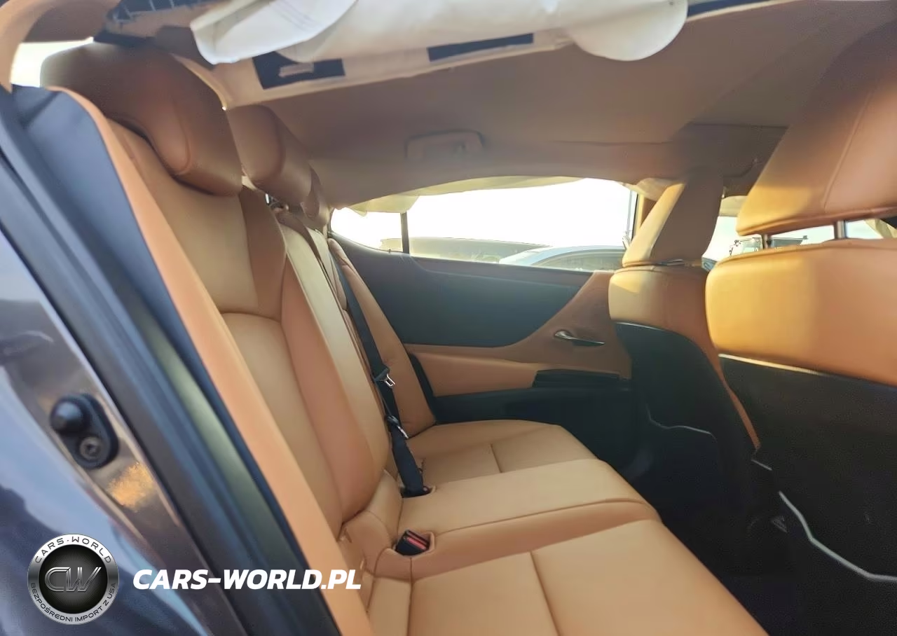 2024 Lexus Es 350 Base VIN:58ADZ1B1XRU162411 - 10