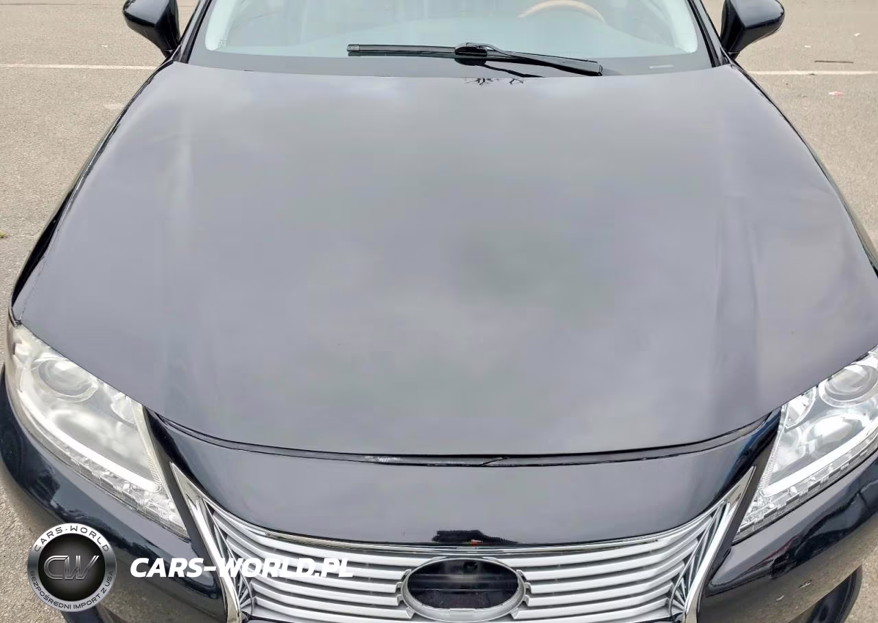 2014 Lexus Es 300H VIN:JTHBW1GG8E2068914 - 11