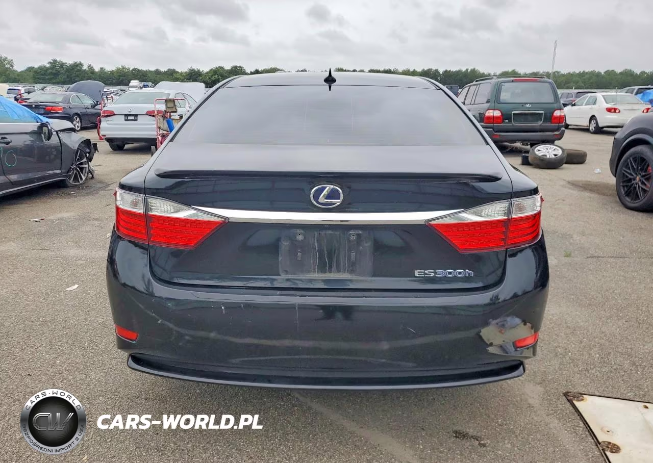 2014 Lexus Es 300H VIN:JTHBW1GG8E2068914 - 6