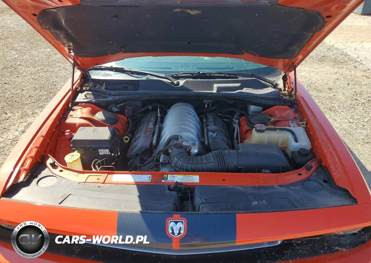 2009 Dodge Challenger Srt-8 VIN:2B3LJ74W49H569963 - 11