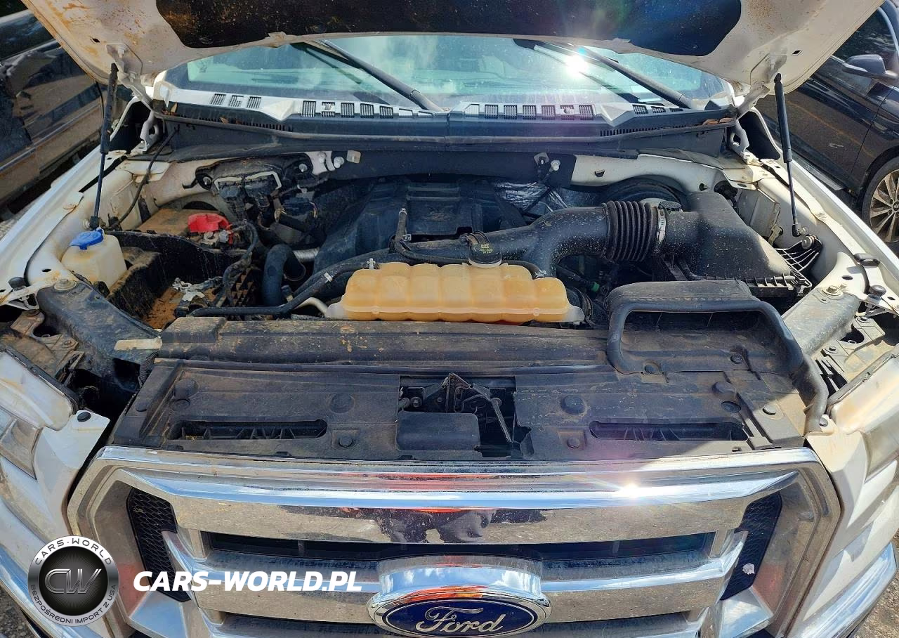 2017 Ford F150 Supercrew VIN:1FTEW1CPXHKD60637 - 11